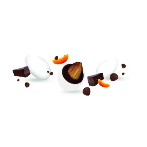 CioccoSacher