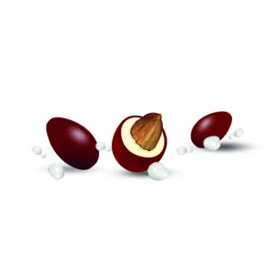 CioccoLatte Color Bordeaux